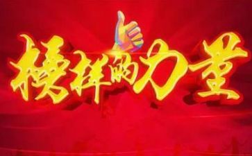 向榜样看齐心得体会8篇