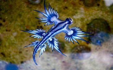 生物教师年度述职报告8篇
