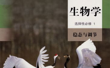 生物组教研工作总结5篇