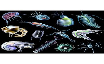 生物备课组长工作总结6篇
