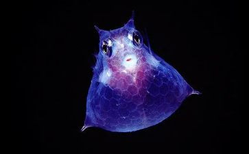 学生物的心得体会模板7篇