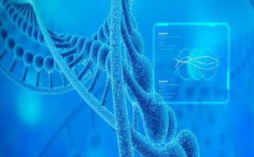 初中生物教师教学总结与反思6篇