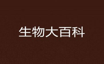 高中生物教师述职报告7篇