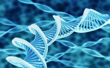 生物教育教学总结5篇