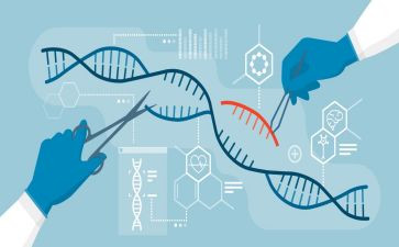2024生物教学计划6篇