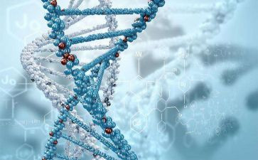 生物考的差心得体会7篇