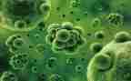 生物述职报告通用7篇