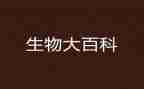 生物教案模板8篇