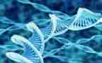 2024生物教学计划推荐8篇
