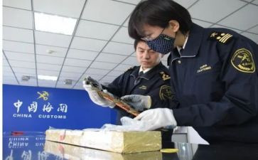 报关行年终总结参考7篇