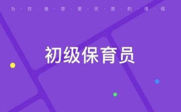 月的保育工作计划模板7篇