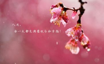 八月份工作计划5篇