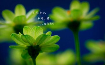 八月份月总结范文6篇