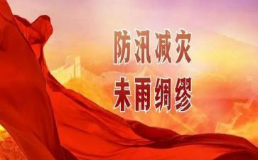 防汛备汛工作总结7篇