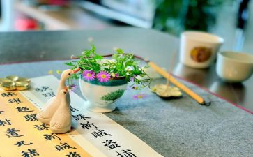 与众不同的我作文400字6篇