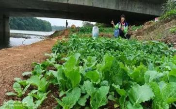 学炒菜的心得体会8篇