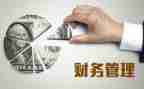 财务2024年个人总结优质5篇