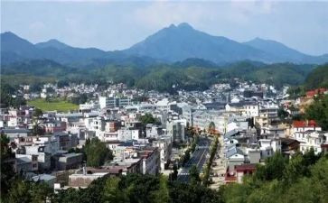 关于才溪的调查报告推荐6篇