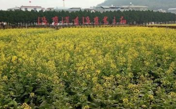 才溪精神心得体会最新6篇