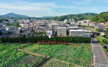 关于才溪的调查报告优质6篇