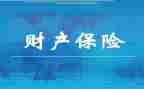 财险个人年终总结8篇
