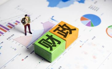 财政所个人总结优质8篇