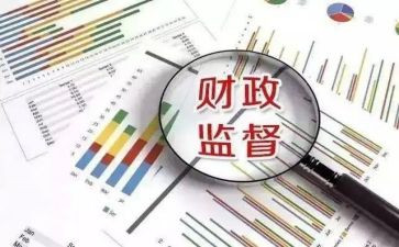 财政个人总结年度个人总结5篇