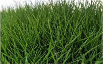 起草房屋租赁合同7篇