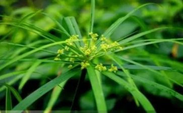 烟草营销工作总结7篇