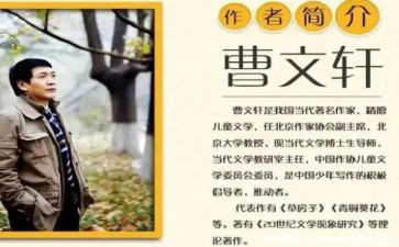 读曹文轩的书的读后感模板8篇