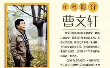 曹文轩的根鸟的读后感5篇