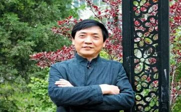曹文轩的根鸟读后感7篇