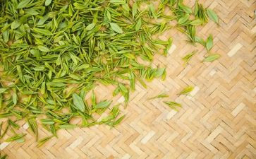 茶企业文化心得体会参考7篇