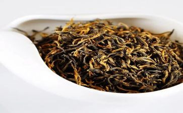 学茶艺心得模板7篇