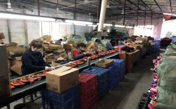工厂员工心得体会7篇