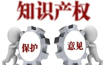 知识产权活动总结6篇