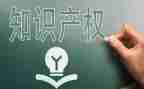 知识产权活动总结模板8篇