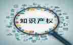 2024年知识产权宣传周活动总结5篇