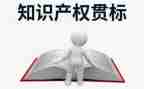 2024年知识产权宣传周活动总结优秀5篇