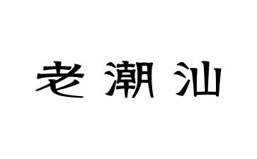 潮汕年作文8篇