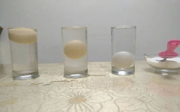中班沉浮教案7篇