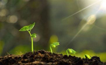 成长个人总结8篇