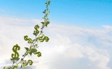在成长作文精选5篇