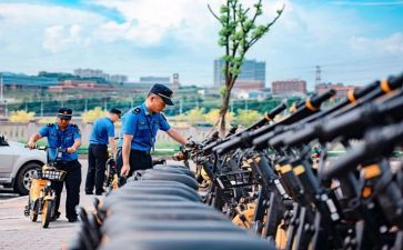 市城管工作总结最新6篇