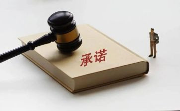 保障房承诺书推荐7篇
