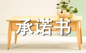个人施工安全承诺书5篇