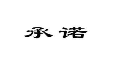 保障房承诺书5篇