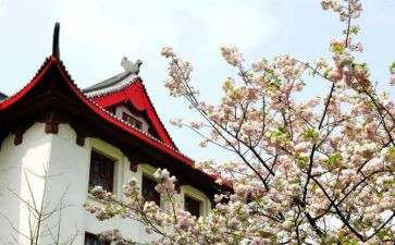 川大校长工作计划通用5篇