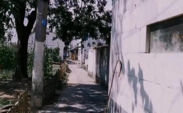 都是我闯的祸作文5篇