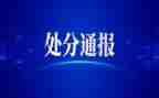 撤销大处分申请书推荐8篇